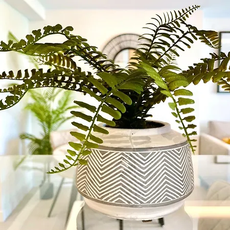 Reina Sofia 53 Port And Sea View 公寓